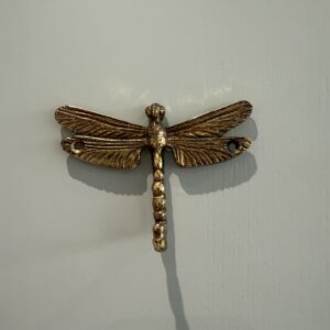 Dragonfly hook