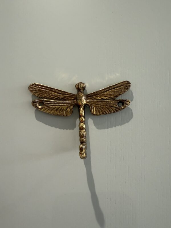 Dragonfly hook